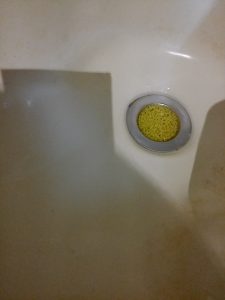 洗面所の排水口